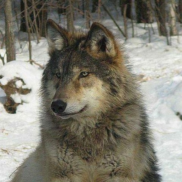 Meet your Posher, Sean - Picture 1 of 1